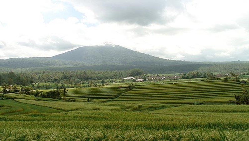 Рисовые террасы в районе Попуана
