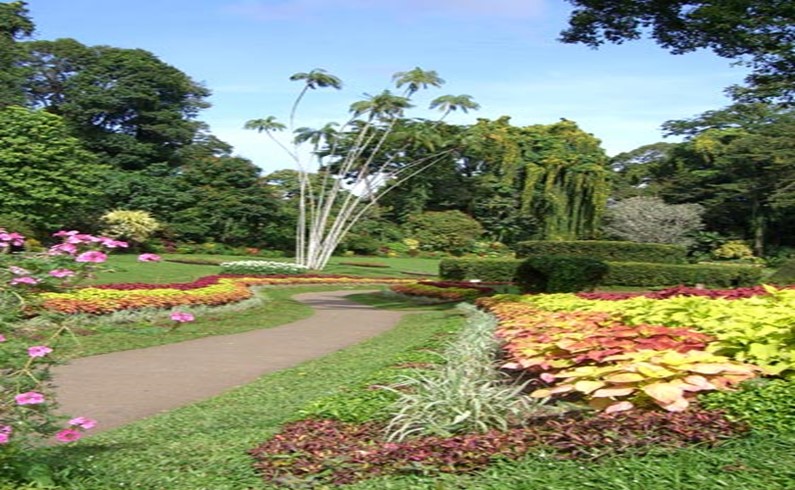 ботанический сад г. Канди