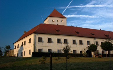 Замок Чейковице