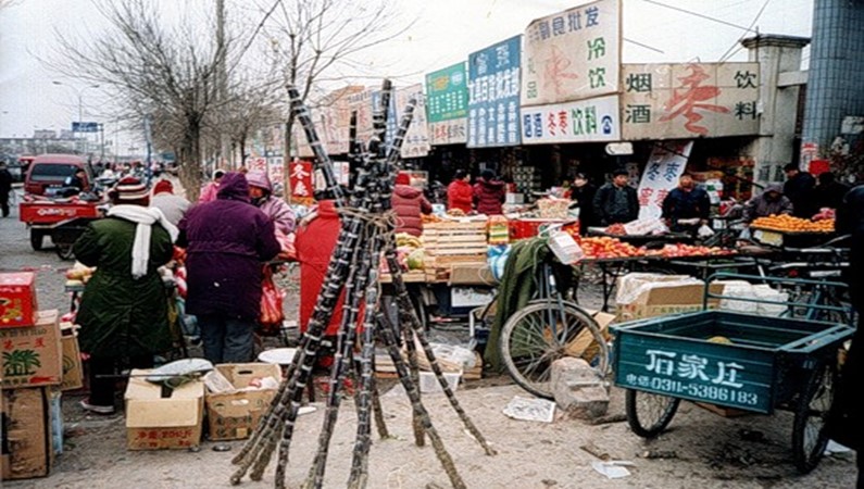 Цанчжоу. Торговля сахарным тростником у входа на городской рынок