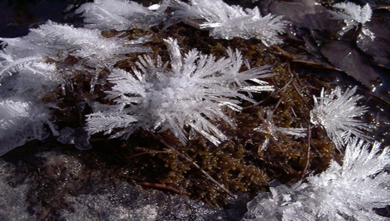 Кристаллы льда на речке Кынгарге
