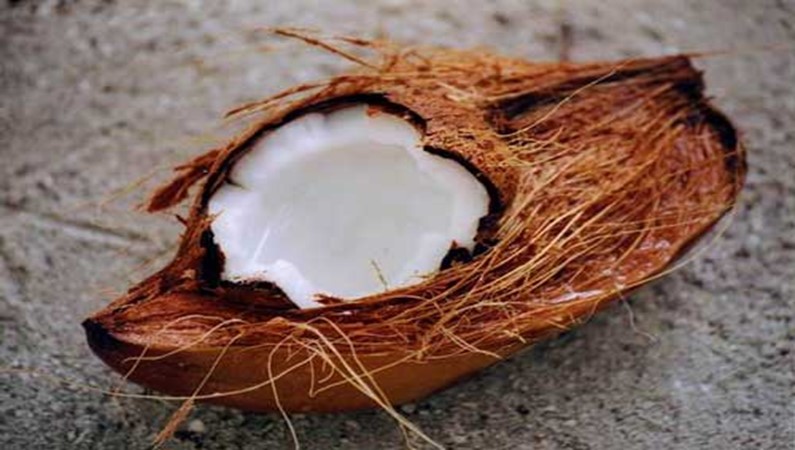 Сочная мякоть кокоса