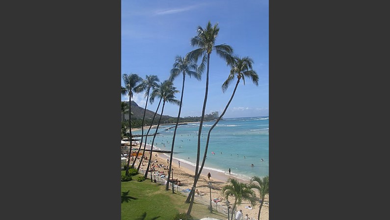 пляж Waikiki в Гонолулу (Гавайи)