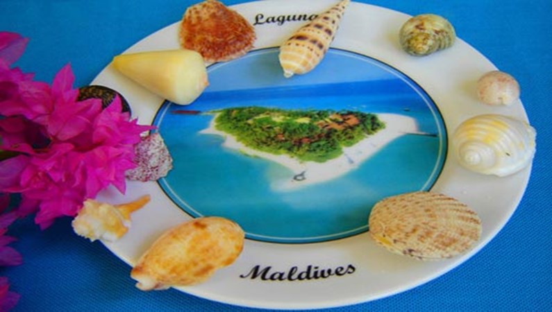 Мальдивский натюрморт