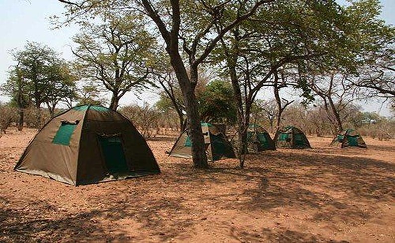 палаточный лагерь в парке Чрбе