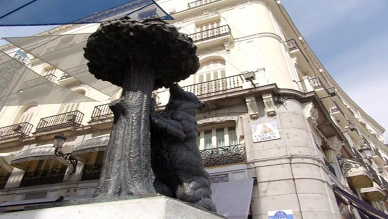 Мадрид. Земляничное дерево.