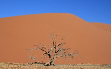 Соль и песок пустыни Намиб - часть 2
