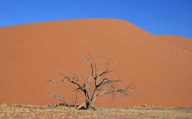 Фотоальбом - Соль и песок пустыни Намиб - часть 2