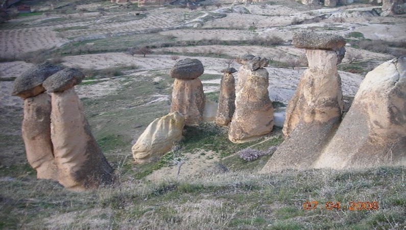 Чавушинские каменные грибы