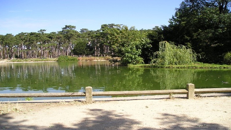 озеро в Булонском лесу