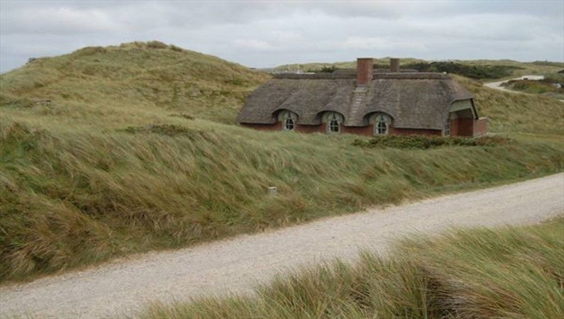 Летний домик в дюнах на берегу Северного моря. Дания