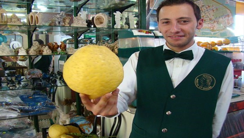 Амалфитанские лимоны, самые лучшие в мире.