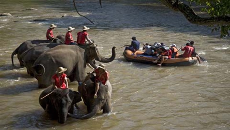 Chiang Mai. Maetaman Elefant Camp. Boat rafting