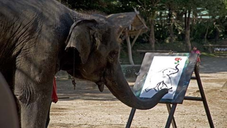 Chiang Mai. Maetaman Elefant Camp. Painting