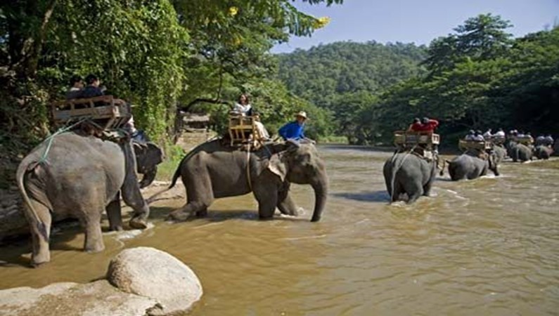 Chiang Mai. Maetaman Elefant Camp. Trip