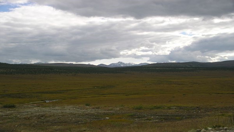 Окинское плато высота 2000метров