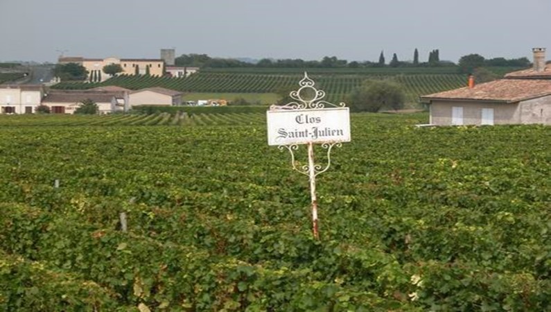 Виноградники возле Сент-Эмильона