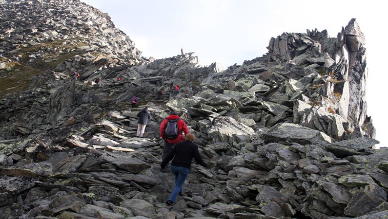 Владимир Головин. Подъём по крутому каменистому склону на вершину Эггисхорн (2927 м) у Алечского ледника