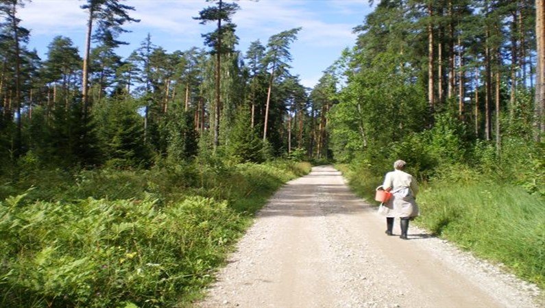 priroda Estonii