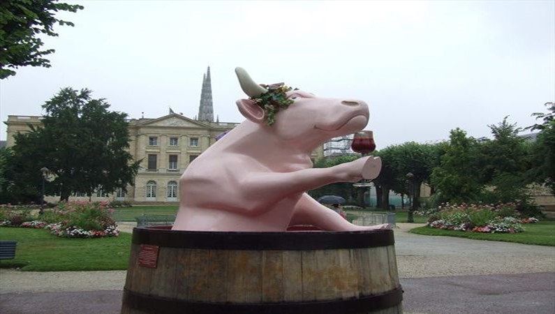 В Бордо и коровы бывают пьющими.