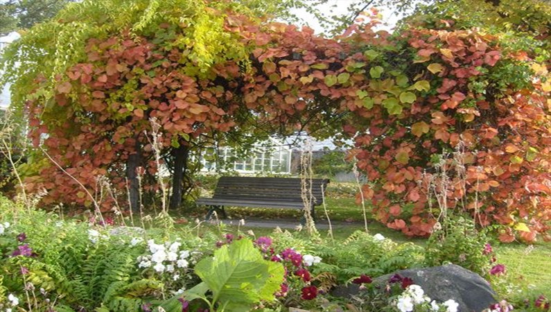 Скамейка в Ботаническом саду