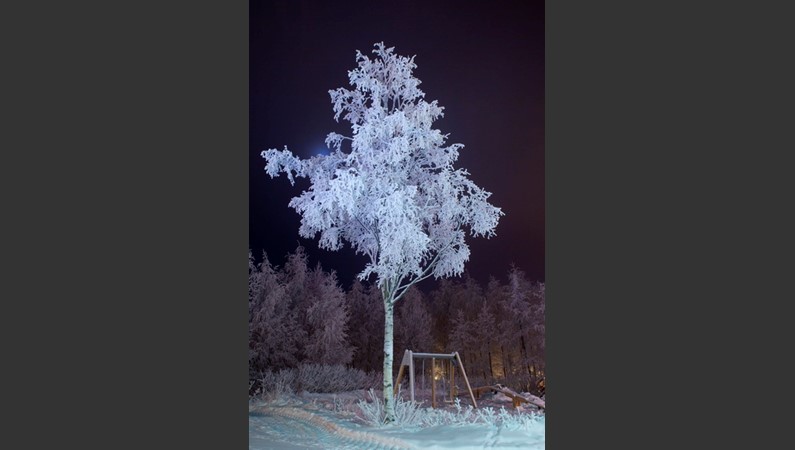 Финляндия. Зимняя сказка
