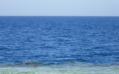 Фотоальбом - Красное море в Шарм-эль-Шейхе