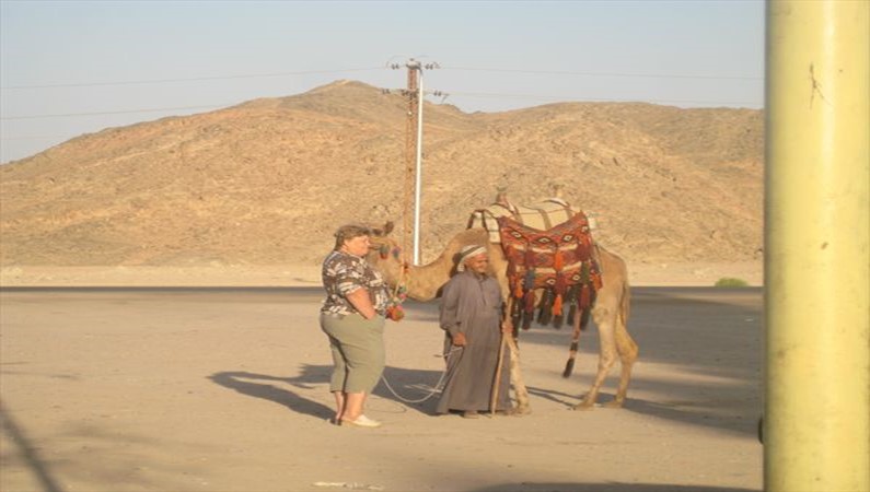 В Марокко тоже наверно есть верблюды
