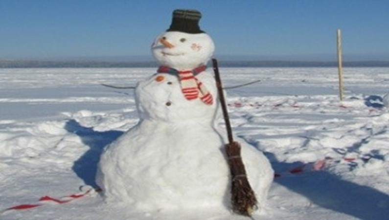 Семейный конкурс 'Снеговик.сом' на лучшего снеговика