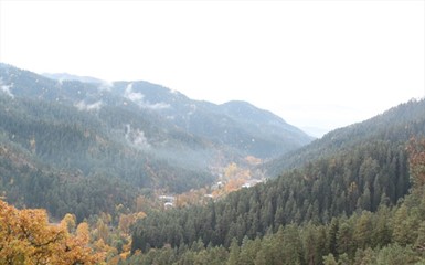 Грузия 2011