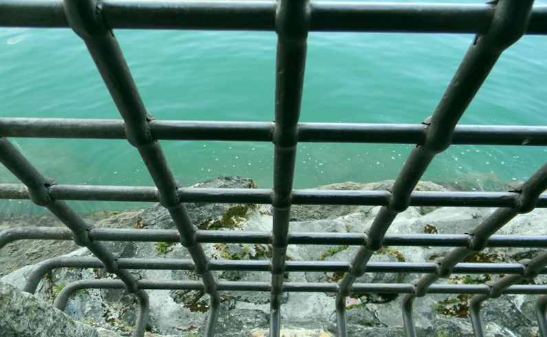 Во глубине вод Женевского озера