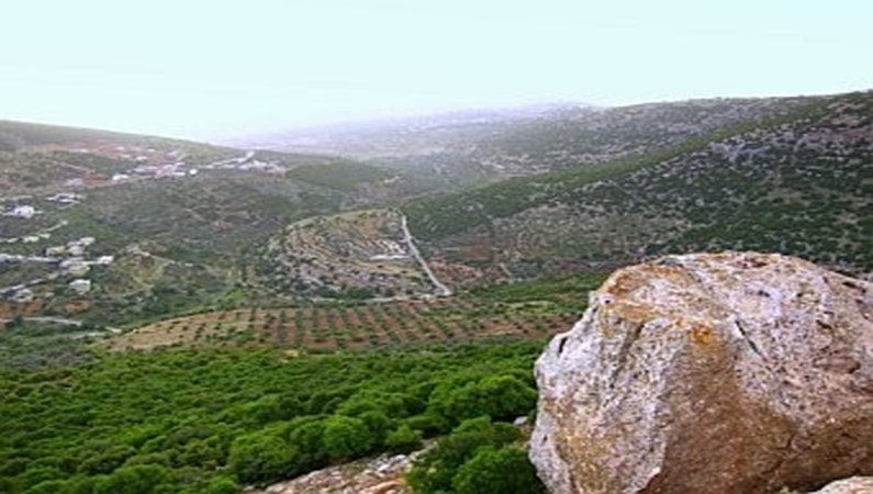 Ajloun-Forest-Reserve.jpg