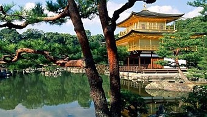 Kinkaku-Ji-Temple-Kyoto-Japan-768x1366.jpg