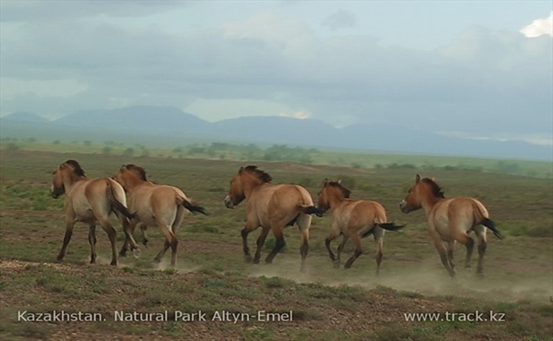 природный парк Алтын-Эмель