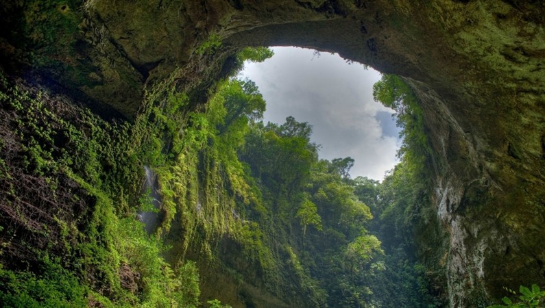 Дождевой лес Эль Юнке, Пуэрто-Рико