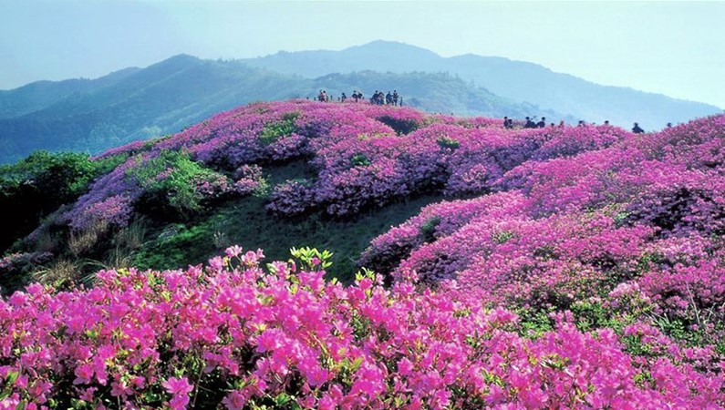 Остров Чеджу. Южная Корея
