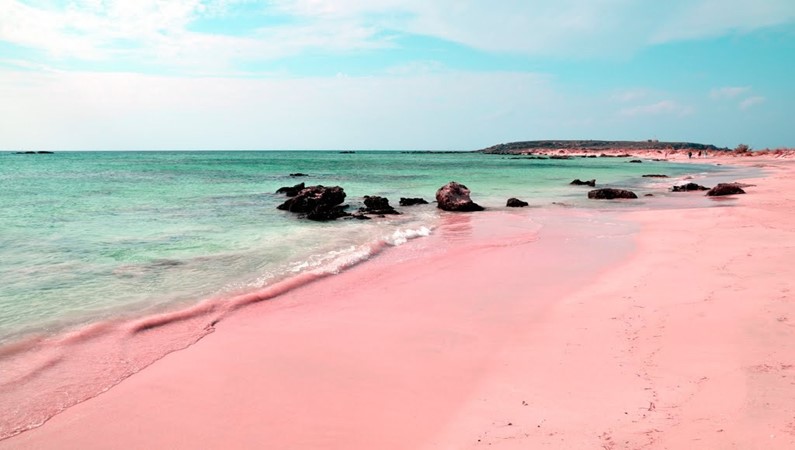 Розовый пляж на острове Харбор, Багамы