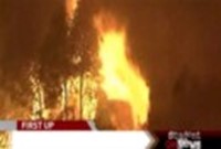 Разрушительные лесные пожары в Австралии