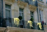 Hotel La Maison Du Lierre - Неплохой уютный отель