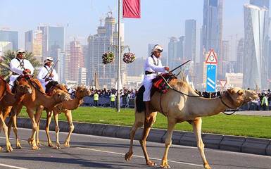 Катар. Верблюды, роботы и деньги