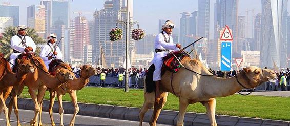 Катар. Верблюды, роботы и деньги