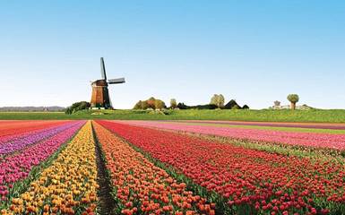 Нидерланды (Голландия). Особенности Нидерландов