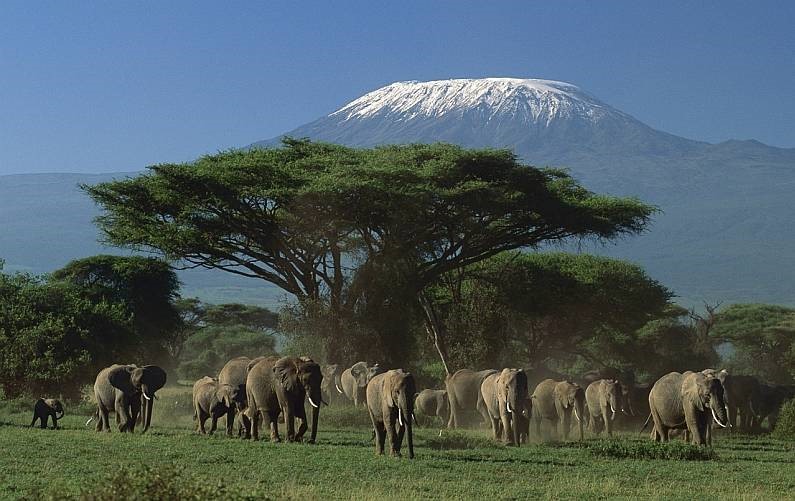 Танзания. Всемирное наследие ЮНЕСКО.  