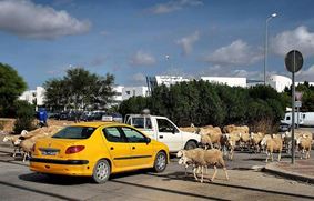 Тунис. Транспорт