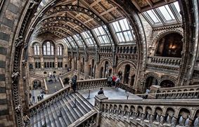 Великобритания. Музеи Лондона