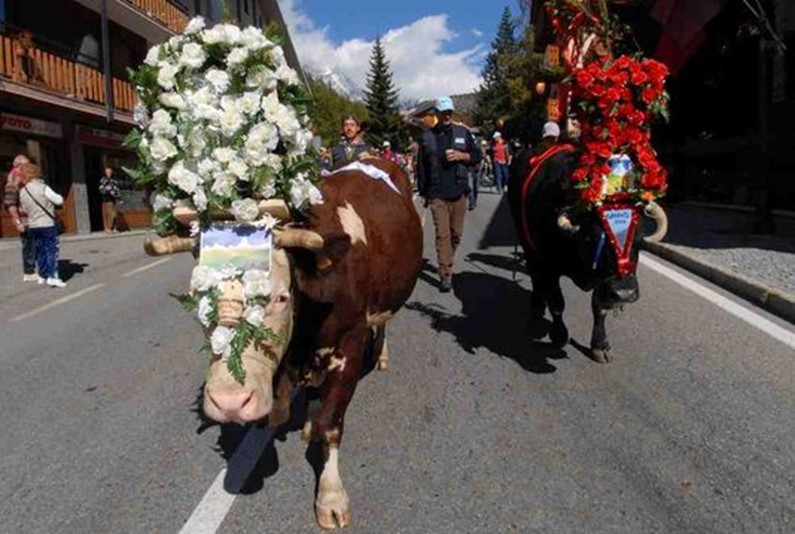 Традиции и народные праздники в Валле-д'Аоста