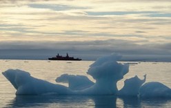 Дивный мир Арктики