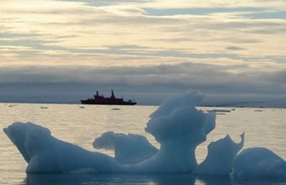 Дивный мир Арктики