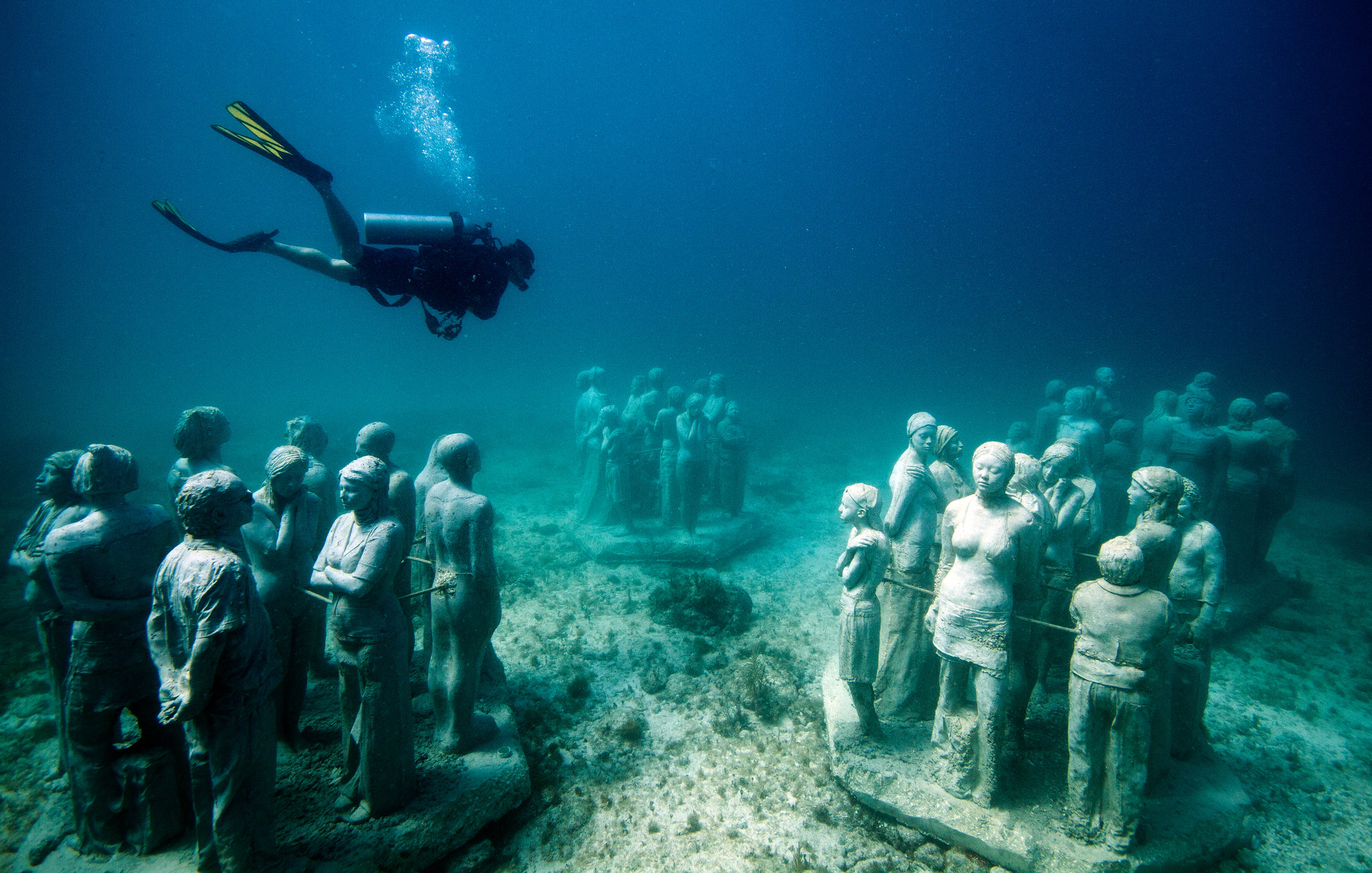 подводный мир карибского моря