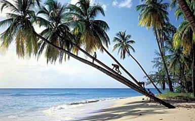 Планируйте отдых на Барбадосе заранее!